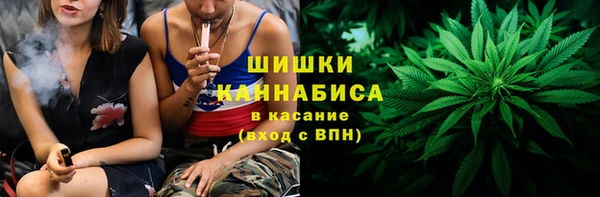шишки Наволоки
