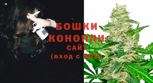 шишки Наволоки