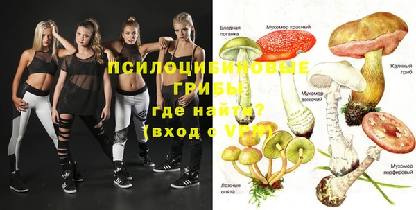 шишки Наволоки