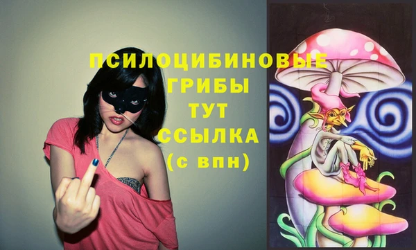 соль курить ск Михайлов