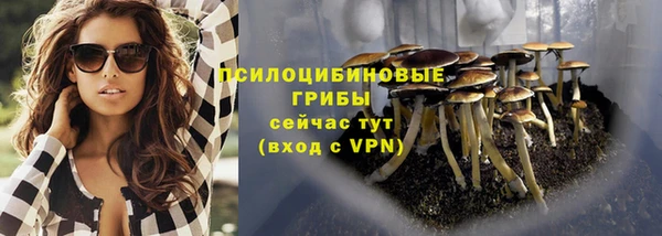 прущий лед Михайловск