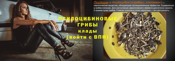 шишки Наволоки